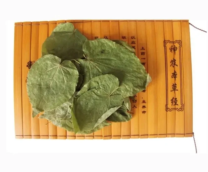horny goat weed leaves