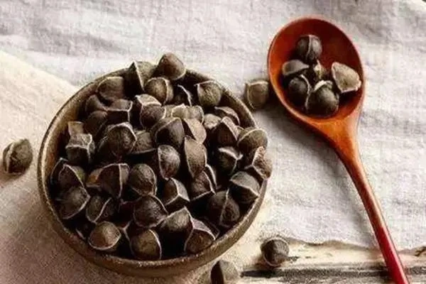 moringaseeds moringaseeds